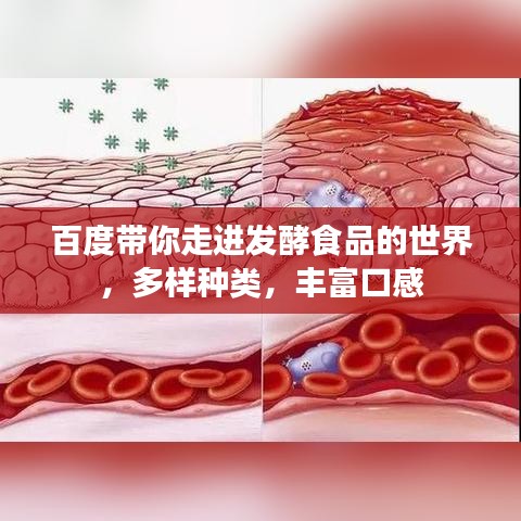 百度帶你走進(jìn)發(fā)酵食品的世界，多樣種類，豐富口感