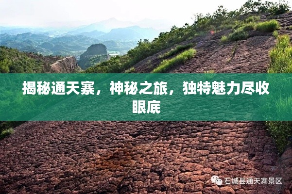揭秘通天寨，神秘之旅，獨(dú)特魅力盡收眼底