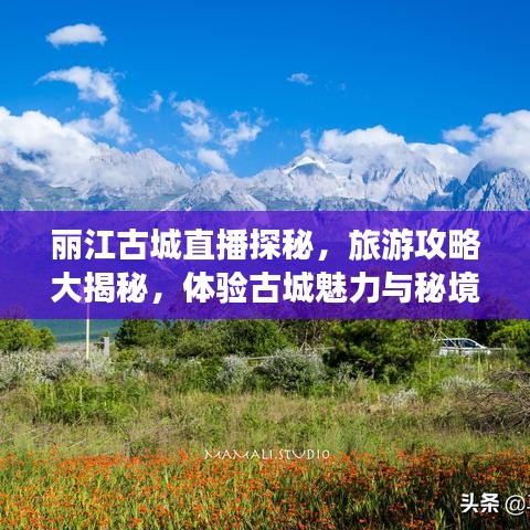麗江古城直播探秘，旅游攻略大揭秘，體驗古城魅力與秘境之旅！