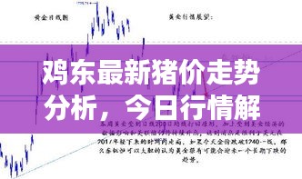 雞東最新豬價(jià)走勢(shì)分析，今日行情解讀