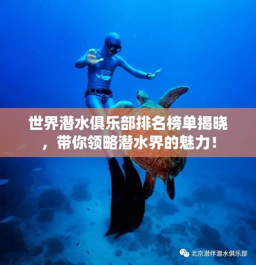 世界潛水俱樂部排名榜單揭曉，帶你領(lǐng)略潛水界的魅力！