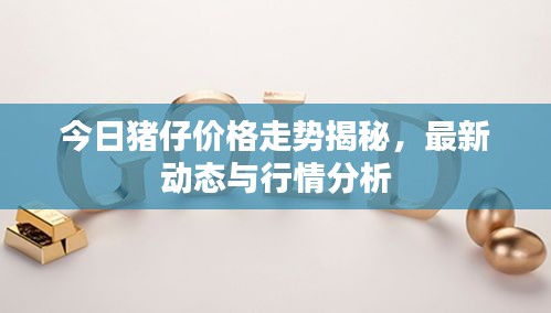 望其項(xiàng)背 第3頁(yè)
