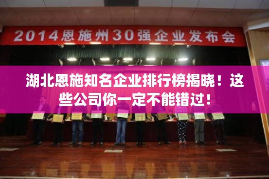 湖北恩施知名企業(yè)排行榜揭曉！這些公司你一定不能錯過！