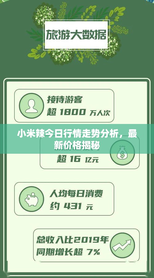 小米辣今日行情走勢分析，最新價格揭秘