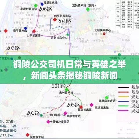 銅陵公交司機日常與英雄之舉，新聞頭條揭秘銅陵新聞