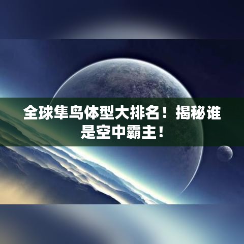 全球隼鳥(niǎo)體型大排名！揭秘誰(shuí)是空中霸主！