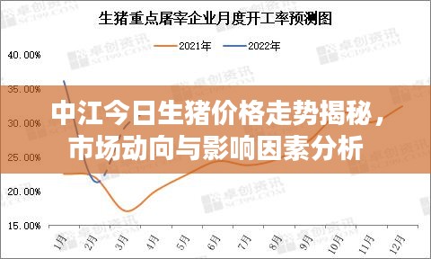 中江今日生豬價(jià)格走勢揭秘，市場動向與影響因素分析
