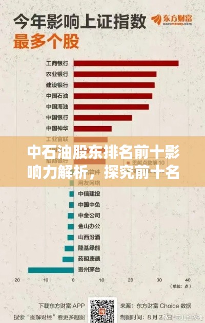 中石油股東排名前十影響力解析，探究前十名股東的持股地位與影響力