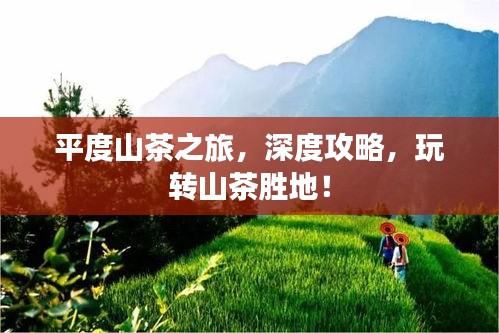 平度山茶之旅，深度攻略，玩轉(zhuǎn)山茶勝地！