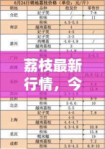荔枝最新行情，今日價格走勢分析