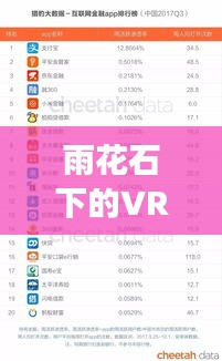 雨花石下的VR公司排行榜，最新排名及行業(yè)洞察
