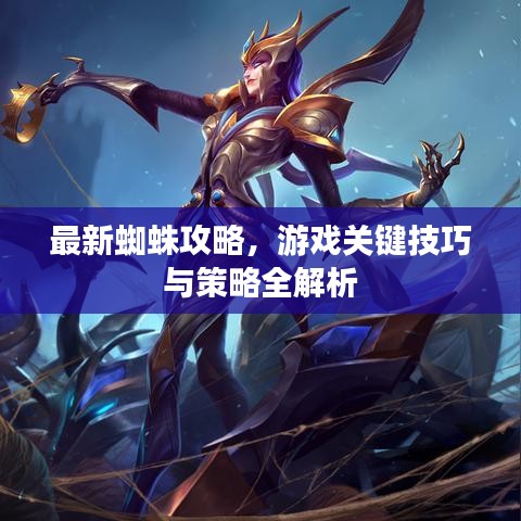 最新蜘蛛攻略，游戲關(guān)鍵技巧與策略全解析