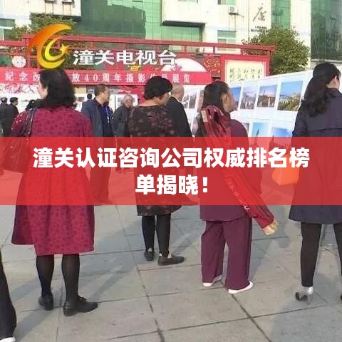 潼關(guān)認(rèn)證咨詢公司權(quán)威排名榜單揭曉！