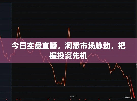 今日實(shí)盤(pán)直播，洞悉市場(chǎng)脈動(dòng)，把握投資先機(jī)