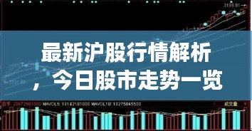 最新滬股行情解析，今日股市走勢(shì)一覽