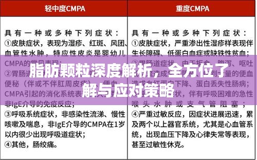 脂肪顆粒深度解析，全方位了解與應(yīng)對策略