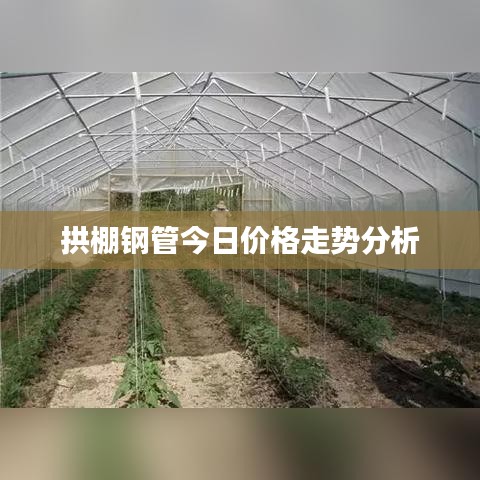 拱棚鋼管今日價(jià)格走勢(shì)分析