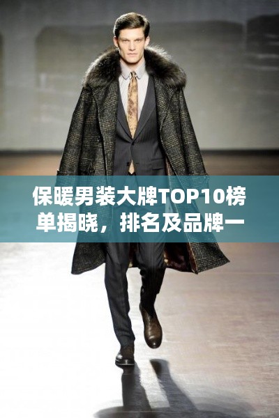 保暖男裝大牌TOP10榜單揭曉，排名及品牌一網(wǎng)打盡