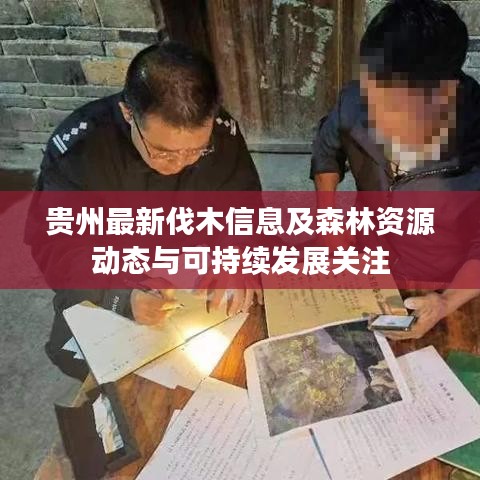 貴州最新伐木信息及森林資源動態(tài)與可持續(xù)發(fā)展關注