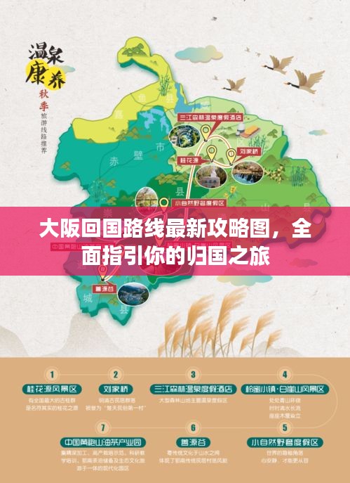 大阪回國(guó)路線最新攻略圖，全面指引你的歸國(guó)之旅