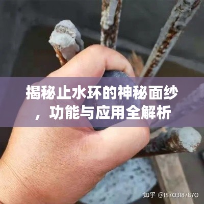 垂頭喪氣 第2頁