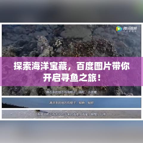 探索海洋寶藏，百度圖片帶你開啟尋魚之旅！