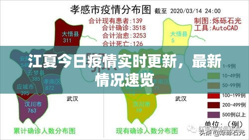 江夏今日疫情實時更新，最新情況速覽
