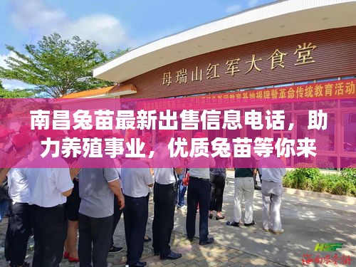 南昌兔苗最新出售信息電話，助力養(yǎng)殖事業(yè)，優(yōu)質(zhì)兔苗等你來(lái)選！