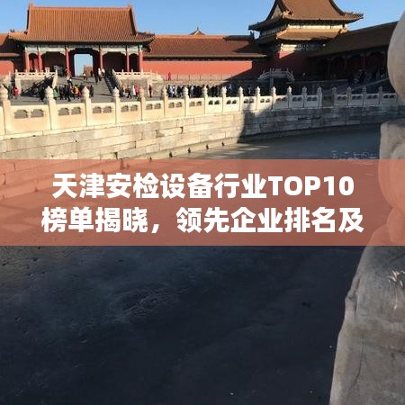 天津安檢設(shè)備行業(yè)TOP10榜單揭曉，領(lǐng)先企業(yè)排名及優(yōu)勢一網(wǎng)打盡！