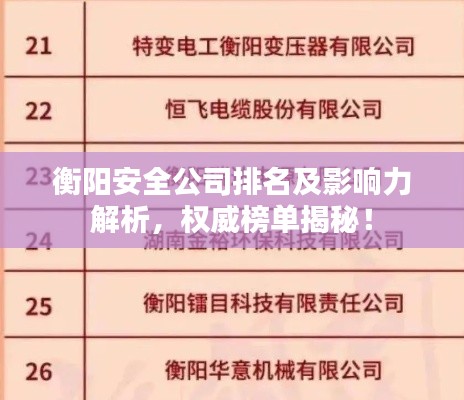 衡陽安全公司排名及影響力解析，權(quán)威榜單揭秘！