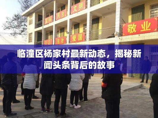 臨潼區(qū)楊家村最新動(dòng)態(tài)，揭秘新聞?lì)^條背后的故事