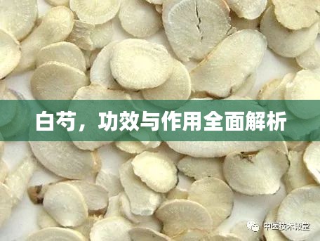 白芍，功效與作用全面解析