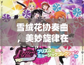 雪絨花協(xié)奏曲，美妙旋律在百度回響