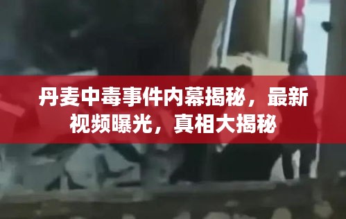丹麥中毒事件內(nèi)幕揭秘，最新視頻曝光，真相大揭秘