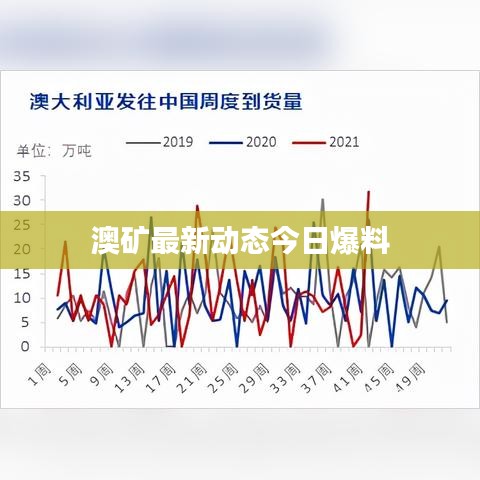 澳礦最新動態(tài)今日爆料