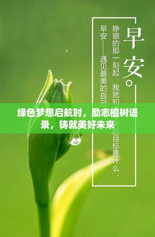綠色夢想啟航時，勵志植樹語錄，鑄就美好未來