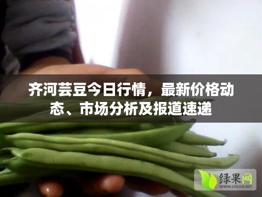 齊河蕓豆今日行情，最新價(jià)格動(dòng)態(tài)、市場(chǎng)分析及報(bào)道速遞