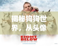 揭秘狗狗世界，從頭像圖片開啟的奇妙探險之旅