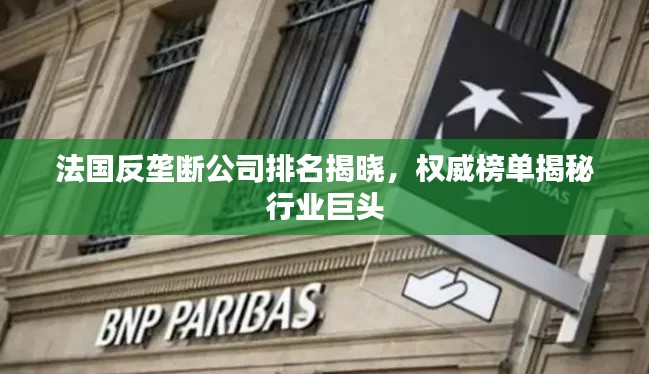 法國反壟斷公司排名揭曉，權(quán)威榜單揭秘行業(yè)巨頭