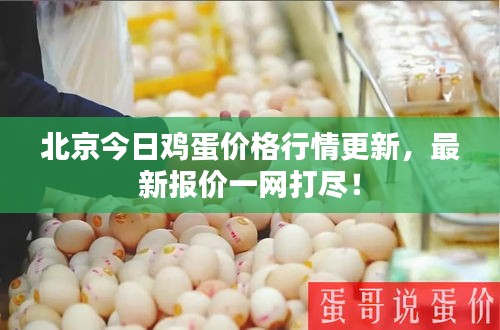 北京今日雞蛋價格行情更新，最新報價一網(wǎng)打盡！