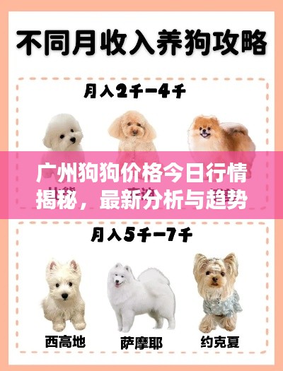 廣州狗狗價格今日行情揭秘，最新分析與趨勢預測