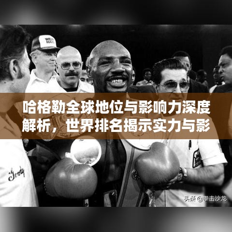 哈格勒全球地位與影響力深度解析，世界排名揭示實力與影響力