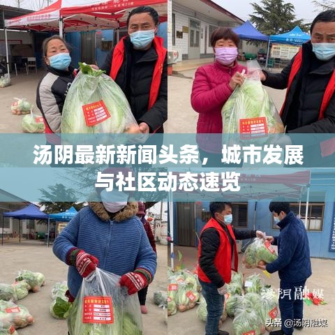 湯陰最新新聞?lì)^條，城市發(fā)展與社區(qū)動態(tài)速覽