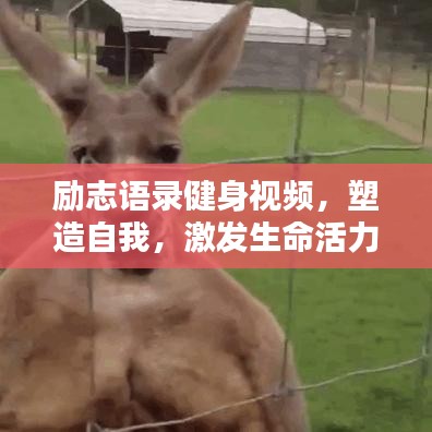 勵(lì)志語錄健身視頻，塑造自我，激發(fā)生命活力