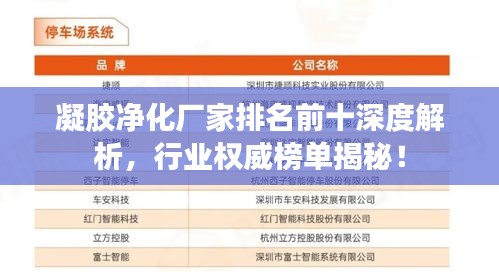 凝膠凈化廠家排名前十深度解析，行業(yè)權(quán)威榜單揭秘！