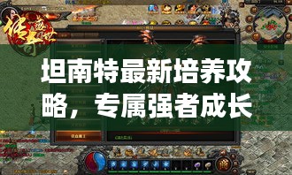 坦南特最新培養(yǎng)攻略，專屬強(qiáng)者成長之路揭秘