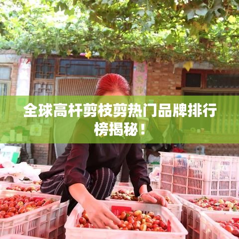 張口結(jié)舌 第2頁
