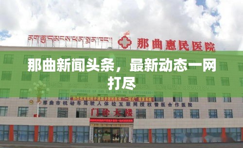 那曲新聞頭條，最新動態(tài)一網(wǎng)打盡