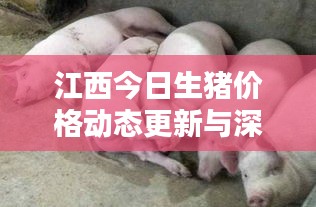 江西今日生豬價格動態(tài)更新與深度分析