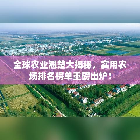 全球農(nóng)業(yè)翹楚大揭秘，實(shí)用農(nóng)場(chǎng)排名榜單重磅出爐！